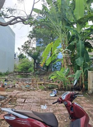 đất chính chủ bán 500tr lạc long quân, bình khánh, thành phố long xuyên, an giang. dt 120m2. sổ sẵn
