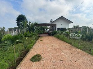 bán nhà sân vườn mạt tiền đường dt724 dt 12x50m tc200m2 giá 5,2ty