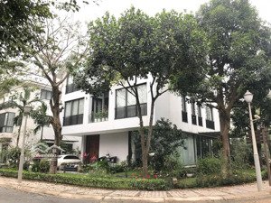 bán gấp biệt thự góc 2 mặt tiền, hoàn thiện đẹp có thang máy