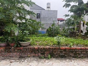 bán đất mai đình - ss, lô góc, 2 bên ô tô tránh, kcn nội bài, 132m, mt 8m, chào bán 5.98 tỷ, nở hậu