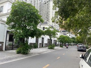 hơn 200tr/m2 chính chủ cần bán gấp căn biệt thự view sông roman plaza 189m2. sổ đỏ