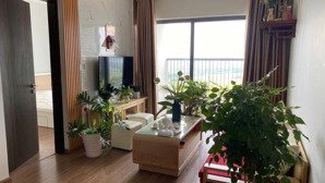 bán căn cc feliz homes 297 hoàng mai - hoàng mai. dt 45m2: 1 ngủ 1 vsinh. giá 3,95 tỷ. 