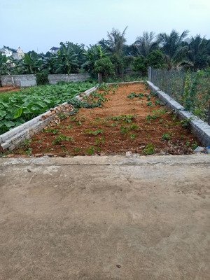 chính chủ gửi bán lô đất đẹp tại thôn 3 phú cát quốc oai hn giá chỉ 3,15tỷ dt 100m2 full thổ cư