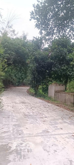 bán 6400m2 đất 3 mặt tiền đất lâm trường, minh phú