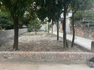 bán lô góc 80m2 tại trung hậu - tiền phong. đất 100% thổ cư. lô góc vuông vắn