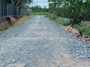 đất thổ giá rẻ đầu tư làm nhà vườn thì đẹp khỏi phải chê bến lức tây ninh (mới)