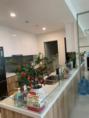 bán nhanh căn hộ q2 thảo điền 3pn2wc 16 tỷ all in, đã có sổ
