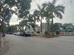 bán đất phân lô 105m2 oto 7 chỗ - xây nhà vườn - giang biên, việt hưng