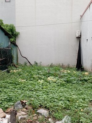 bán đất quang trung, 75m2, ô tô, gần vành đai 4, bến xe yên nghĩa, hà đông, 8,1 tỷ