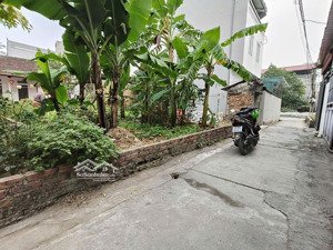 chỉ nhỉnh 3 tỷ sở hữu lô đất siêu đẹp ngõ oto cách trục chính 15m full thổ cư lỗ giao việt hùng đa