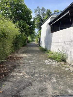 chào bán 241m2 sát trường học đường 5m xã hoà khương, hoà vang, tp đà nẵng