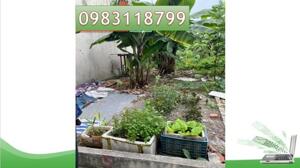 ⭐Chính chủ cần bán nhanh lô đất tại Quỳnh Cư, Hồng Bàng, Hải Phòng; 1,3 tỷ, 0983118799