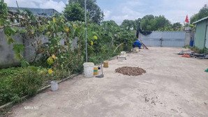 bán gấp! 1.250m có sẵn xưởng, nhà sổ riêng, chỉ 2,2 tỷ