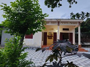 cả đất và nhà mái bằng, sẵn ở luôn tại cốc đồng tâm, minh quang, ba vì, hn. vị trí cách tl515 - 1km