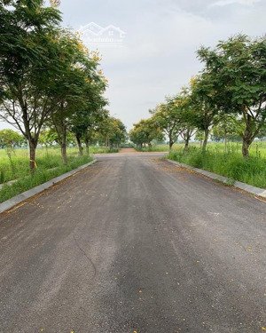 bán đất nền liền kề dự án minh giang đầm và mê linh, dt 112m2, giá bán 35 tr/m2