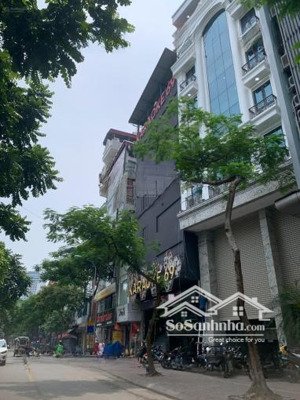 mặt phố vũ tông phan dt110mx9t thang máy, thoáng trước sau, 2 vỉa hè, dòng tiền tốt giá 54.9 tỷ