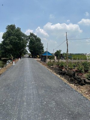 mặt tiền đường kênh 4, xã bình lợi, huyện bình chánh 1000m2 sổ riêng