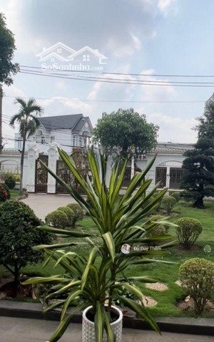 bán biệt phủ đặng thúc vịnh, tân xuân, hóc môn, 15302, ngang 28m, hơn 60tỷ tl