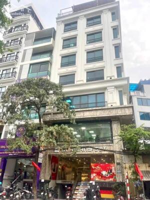 Mặt phố Thụy Khuê mới, lô góc, kinh doanh sầm uất, DT 345m2 mặt tiền 11m giá chỉ 126.8 tỷ