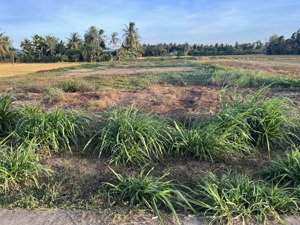 bán đất mặt tiền đường vào cầu trắng, bình hưng, 50m2