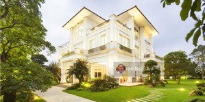 (thông tin chính xác) độc quyền bán bt bason rẻ nhất thị trường: 225m2-164tỷ; 325m-349tỷ; 438m-540t