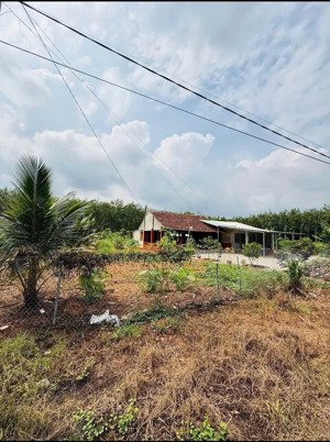 bán lô đất vườn ngay tuyến số 3 vào ngang 23m sâu 43 hơn 1000m2 bán 239 tr, gần kcn