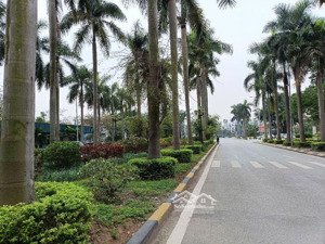 bán biệt thự liền kề kđt đặng xá, gia lâm 14.6 tỷ