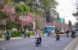 bán nhà phố mặt tiền đường an sơn, p.4 nhà đẹp 4 tầng có thang máy, khu homestay hot nhất đà lạt!