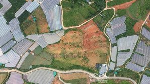 cần bán gấp lô đất (20 thửa) ở thị trấn lạc dương, gần tp đà lạt. đất trồng cây lâu năm đã có qh