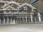 Cho thuê kho, nhà xưởng đẹp tại Lê Lợi, Phú Mỹ, Thủ Dầu Một, Bình Dương, 2,5 tỷ/th, 20000m2