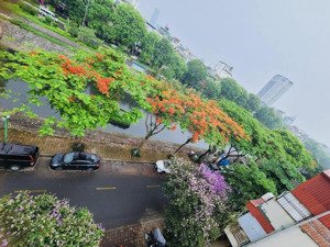 mặt phố nguyễn khang 83m*8t thang máy mt6m 46 tỷ nhỉnh 2 thoáng vỉa hè đá bóng view sông cực đẹp
