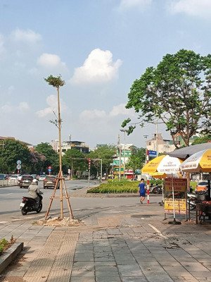 giá chỉ 250tr/m2 tòa nhà mặt phố nguyễn khánh toàn - logoc - dòng tiền 2 tỷ/tháng