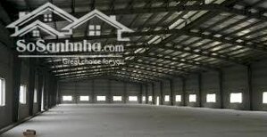 Cho thuê nhà xưởng Bến Cát, Bình Dương - Thu hút đa dạng ngành nghề