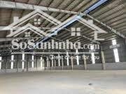 CHO THUÊ 5000M2 KHO XƯỞNG TRONG KCN MỸ PHƯỚC BẾN CÁT BÌNH DƯƠNG