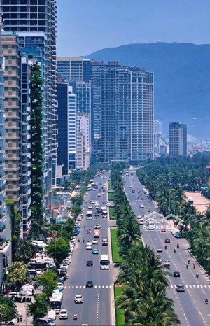 chuyển nhượng cặp đất phố hàn, trục thông biển dương đình nghệ