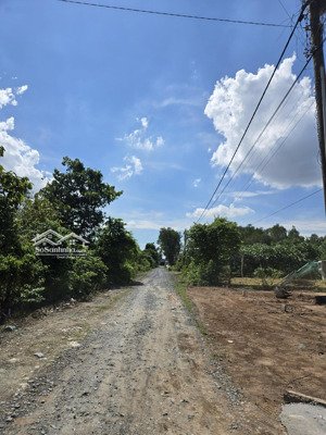 bán nền thổ cư sổ hồng. đường xe hơi giá rẻ