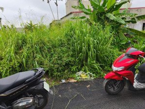 150m2 ngang 6m, ngõ trải nhựa, tư thuỷ, hoà nghĩa, giá chỉ 16tr/m2