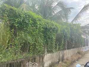 bán đất 150m2 tại tân bình, tân trụ, long an giá chỉ 1,5 tỷ