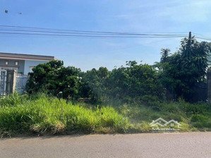 bán đất 1200m2 tại đinh công tráng, lộc châu, bảo lộc | giá bán nhanh nên tốt
