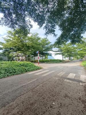 BUNG 50 LÔ SỔ RIÊNG NGAY TRUNG TÂM PHƯỜNG TÂN TRIỀU VIEW SÔNG CHỈ TỪ 400TR