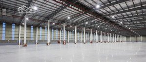 cho thuê cụm nhà xưởng mới xây 48.000m2 - kcn mỹ phước 3, bình dương - hỗ trợ gpđt nước ngoài
