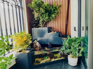 Chính chủ bán cân 3 ngủ 2 vệ sinh diện tích 146m Full nội thất chỉ 16.x tỷ bao phí. 0914772279