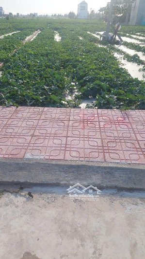 bán cắt lỗ lô đất vàng gần bãi tắm quất lâm