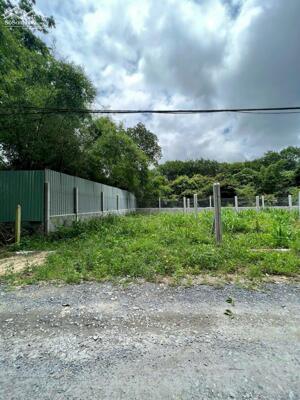 CẦN SANG LẠI NỀN ĐẤT THỔ CƯ 500M2 NGAY CHỢ AN KHƯƠNG HỚN QUẢN BP LIỀN KỀ SÂN BAY GIÁ 230 TRIỆU