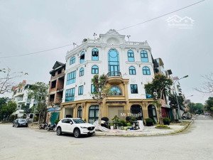 cực hiếm-biệt thự lô góc 110m- tuyệt phẩm long biên- gần phố-full nội thất-thang máy-gara ô tô