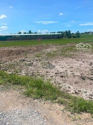 chủ ngộp cần bán gấp lô đất mặt kênh trị yên, phước vân, dt: 182m2 thổ cư, shr