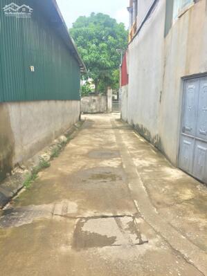 - Bán đất xã Ninh Sở 64 m2, Mt 4m, Vị trí đẹp , OTo vào tận đất , Giá chỉ 4.334 tr