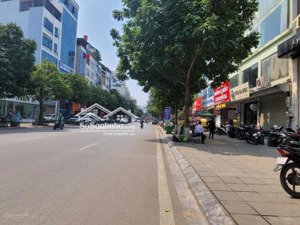 bán nhà mặt phố nguyễn thái học, ba đình. dt 50m2 x 6t, mt 4m. lô góc 2 mặt, thang máy, vỉa hè to