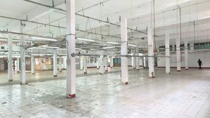 cho thuê xưởng giá tốt pccc tự động 1000m, 2000m, 3000m, 4000m, 5000m
