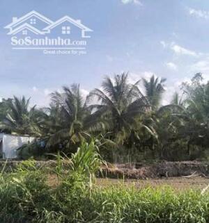 Ấp Phước Hòa B, thị trấn Cù Lao Dung, huyện Cù Lao Dung, tỉnh Sóc Trăng
